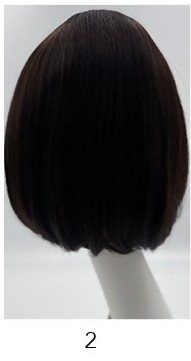 Sleek Carly 100% Human Hair Bob Wig With Fringe 10" Inch